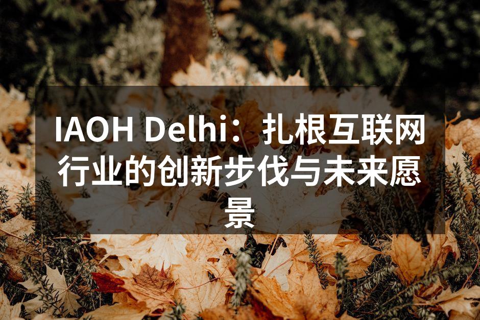 IAOH Delhi:扎根互联网行业的创